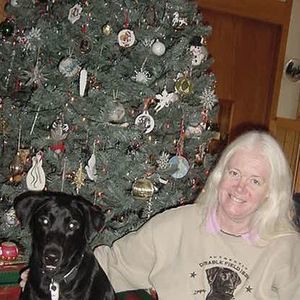 Meet your Posher, Sue